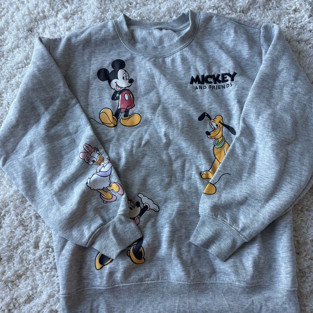 Mickey & Friends Gray Sweater